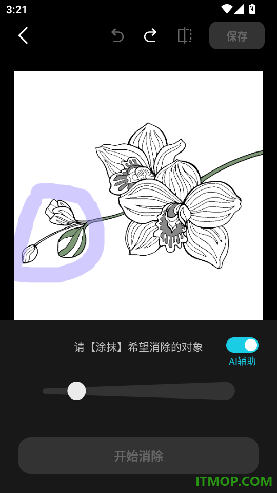 椰子设计软件官方版