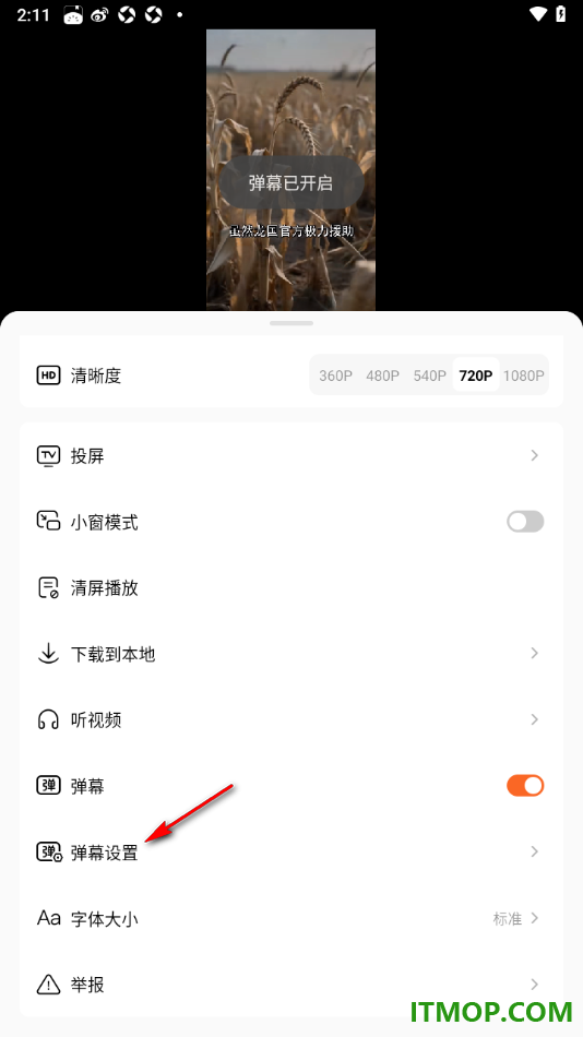 番茄免费小说手机版设置将弹幕字体调小一些的方法