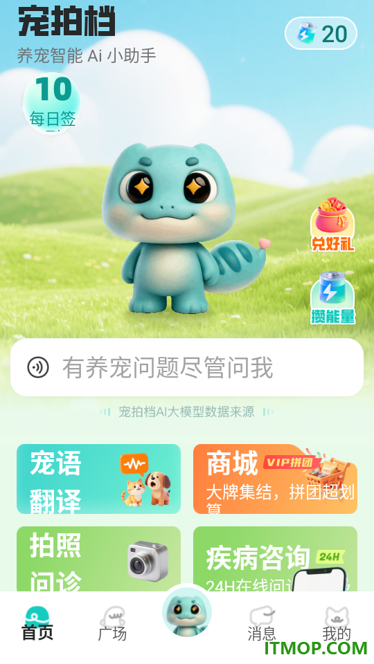 宠拍档官方版