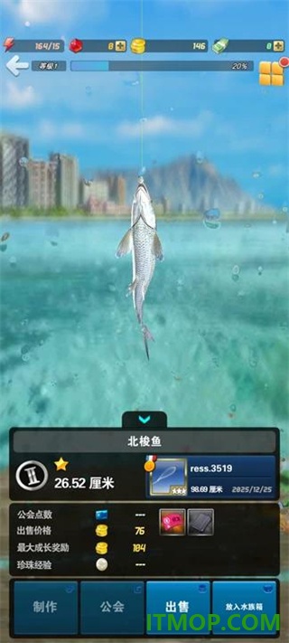 钓鱼发烧友游戏