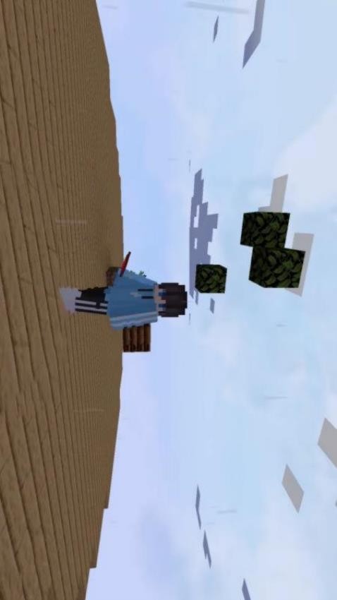 空岛生存游戏v1.1(3)