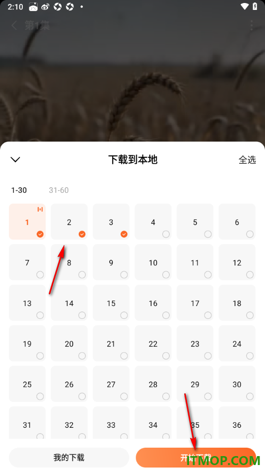 番茄免费小说手机版批量且免费下载短剧到本地的方法