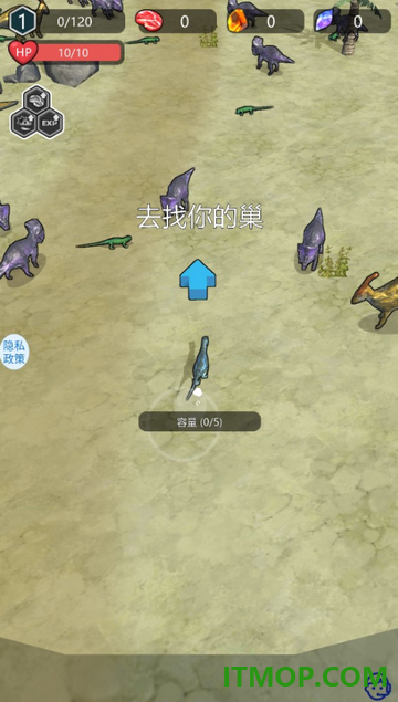 狂龙进化游戏