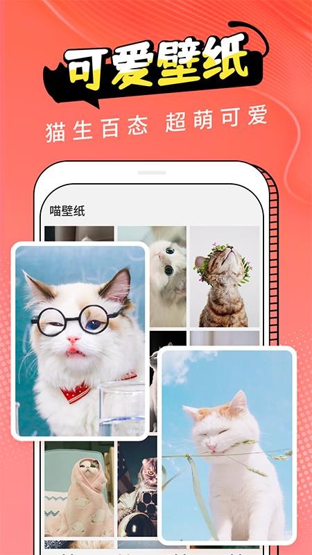pet猫翻译软件(1)