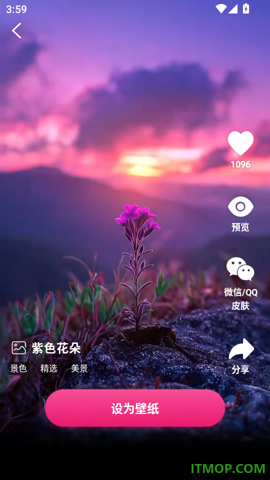 快闪壁纸手机版