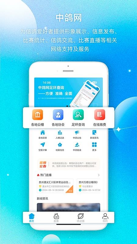 中国中鸽直播网(5)