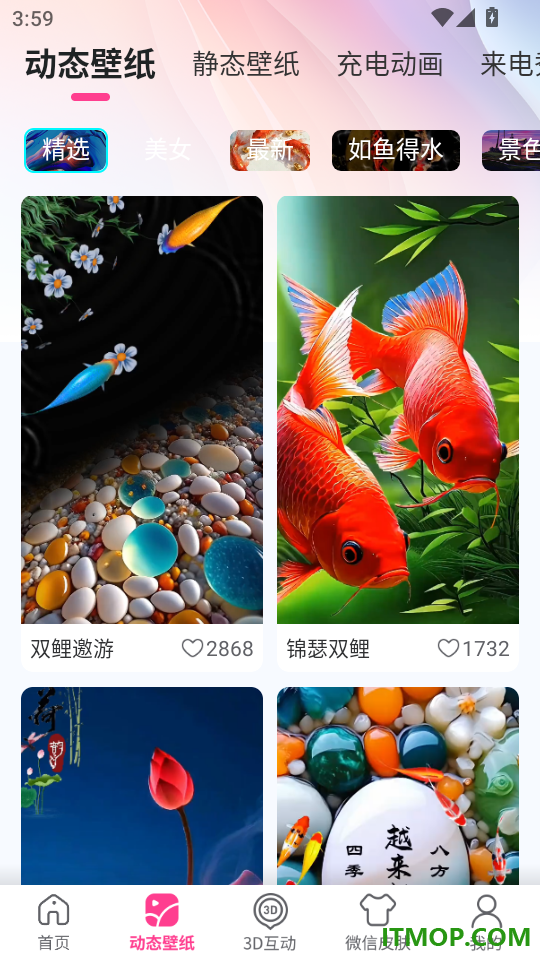 快闪壁纸手机版