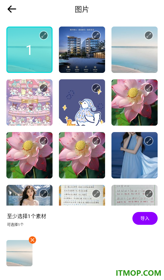 易搜猫官网版