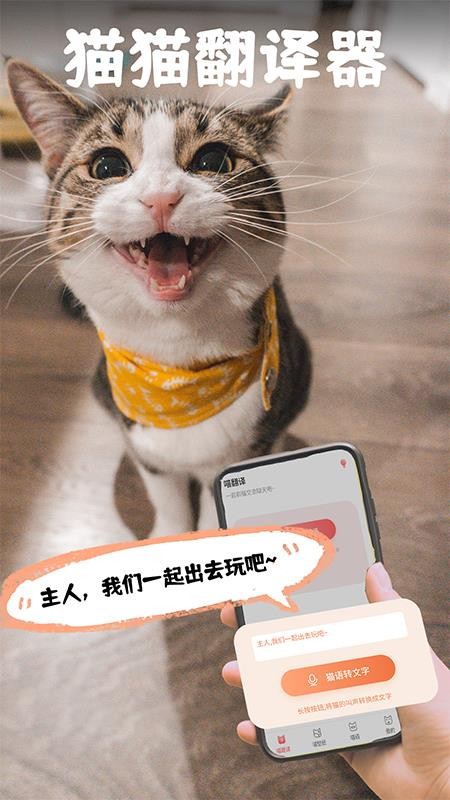 pet猫翻译软件(3)