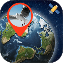 海鸥街景地图最新版 v1.0.1