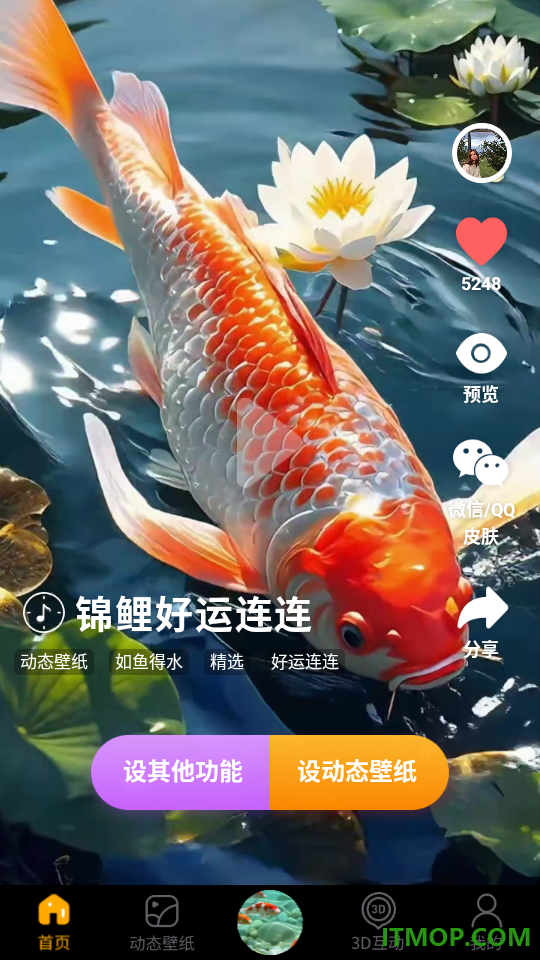 桌面养鱼壁纸最新版