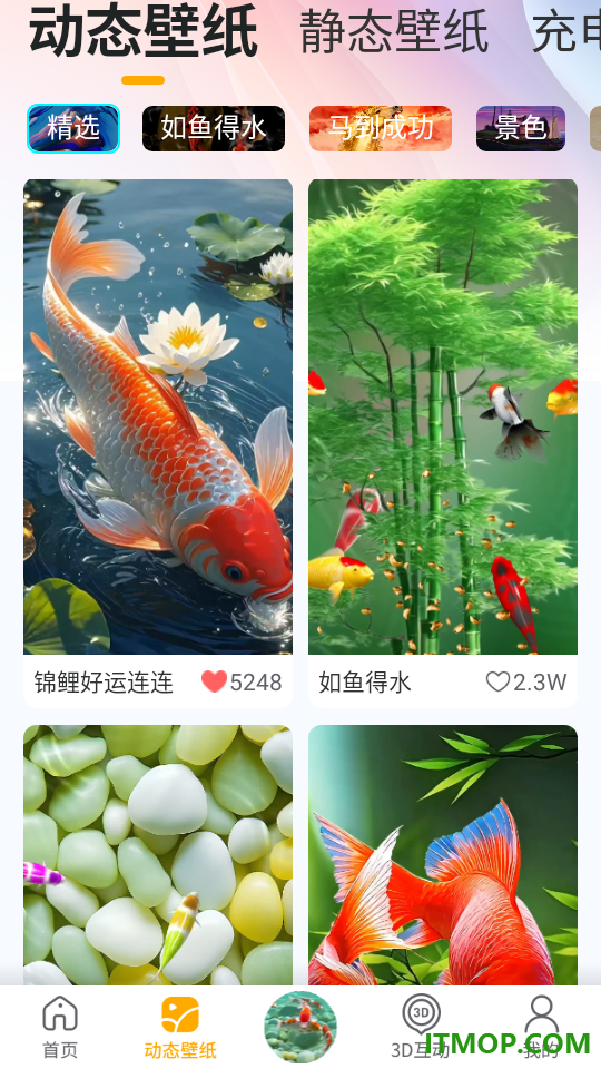 桌面养鱼壁纸最新版