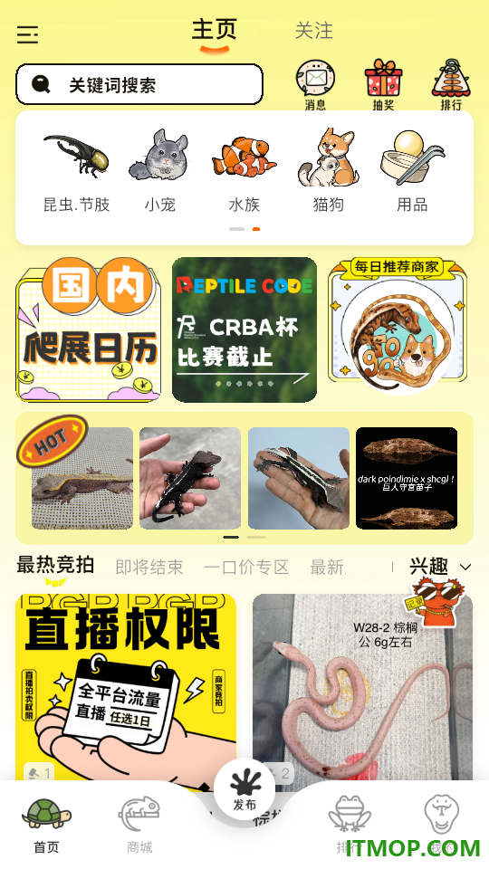 拍个爬平台