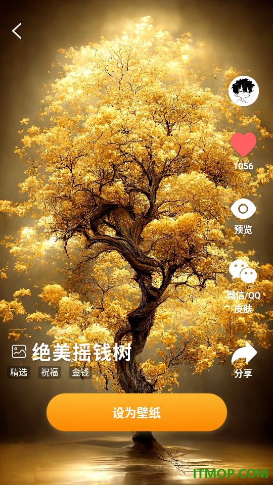 桌面养鱼壁纸最新版