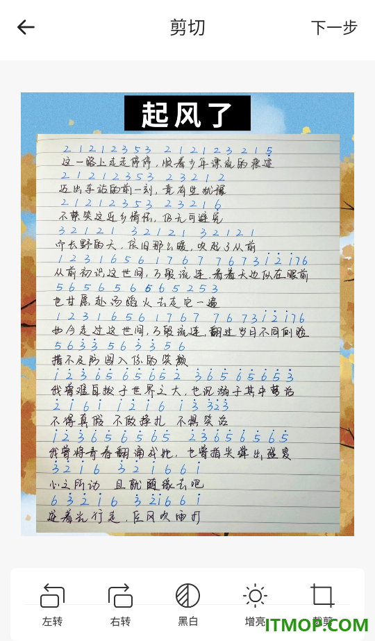 扫描件(智能扫描王)手机版