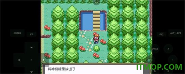 口袋妖怪燃之智启动器手游