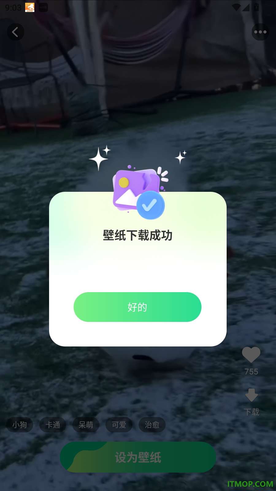 超清动态壁纸手机版