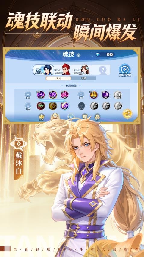 斗罗大陆传承游戏v1.0.14 3