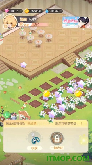 明星花店手游