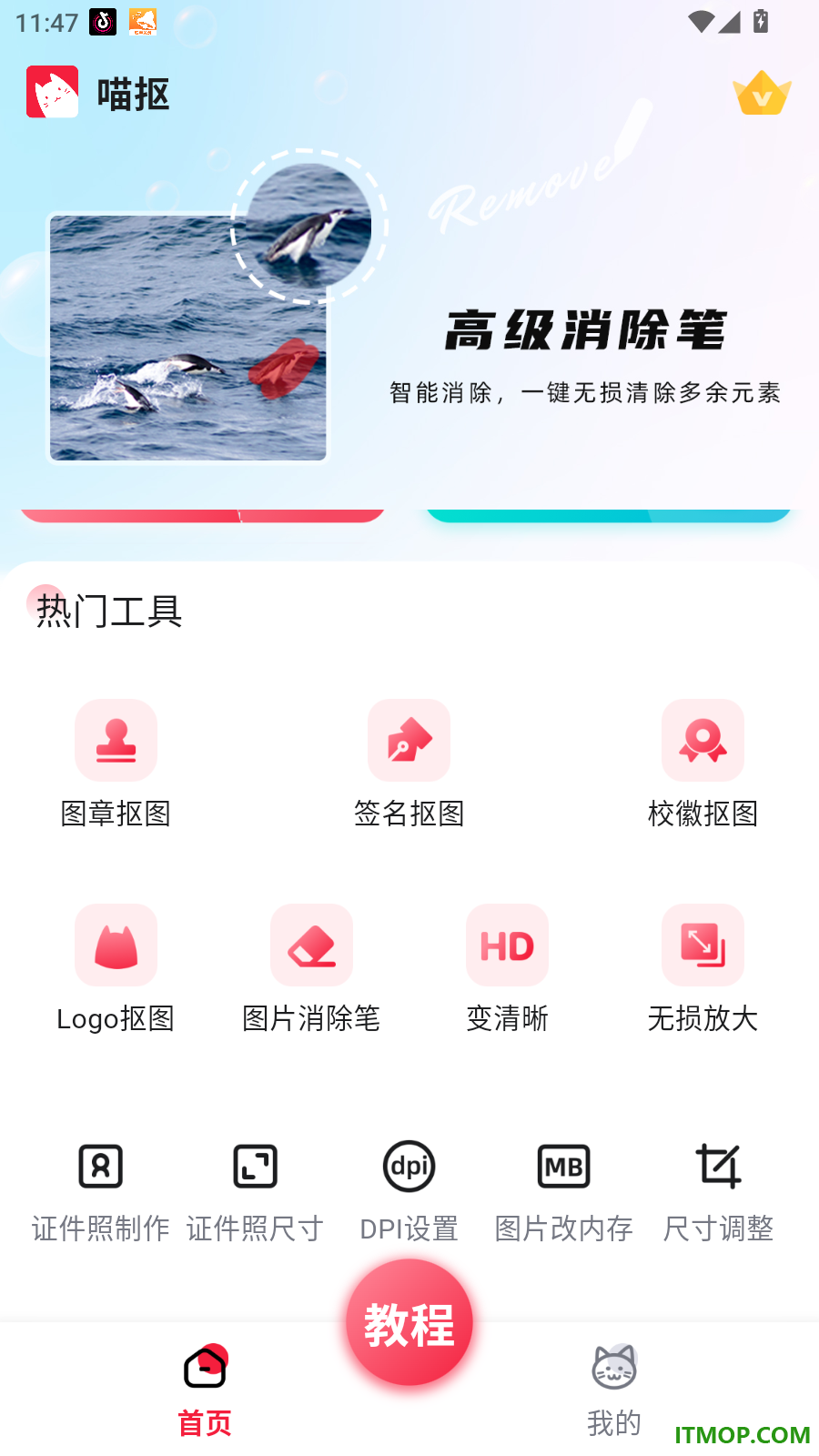 喵抠手机版