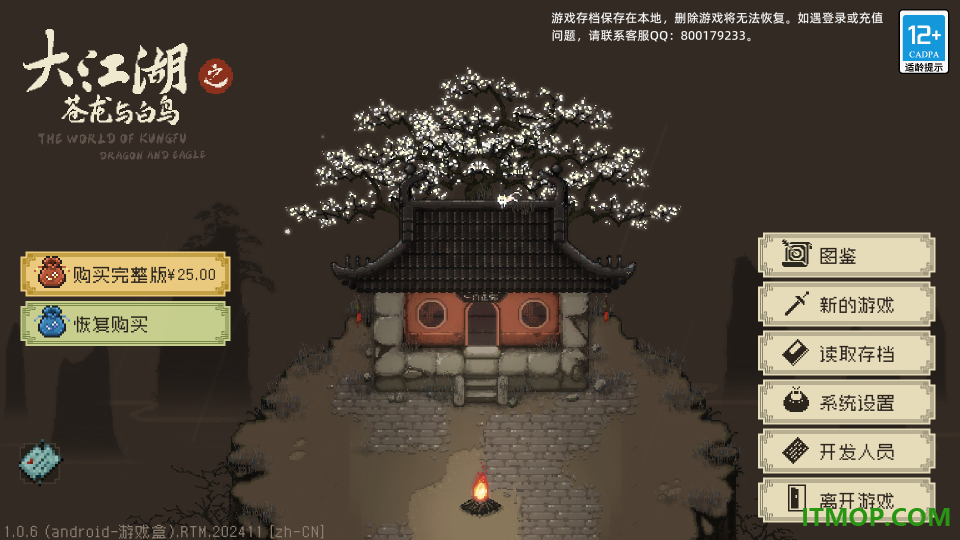 大江湖之苍龙与白鸟手游
