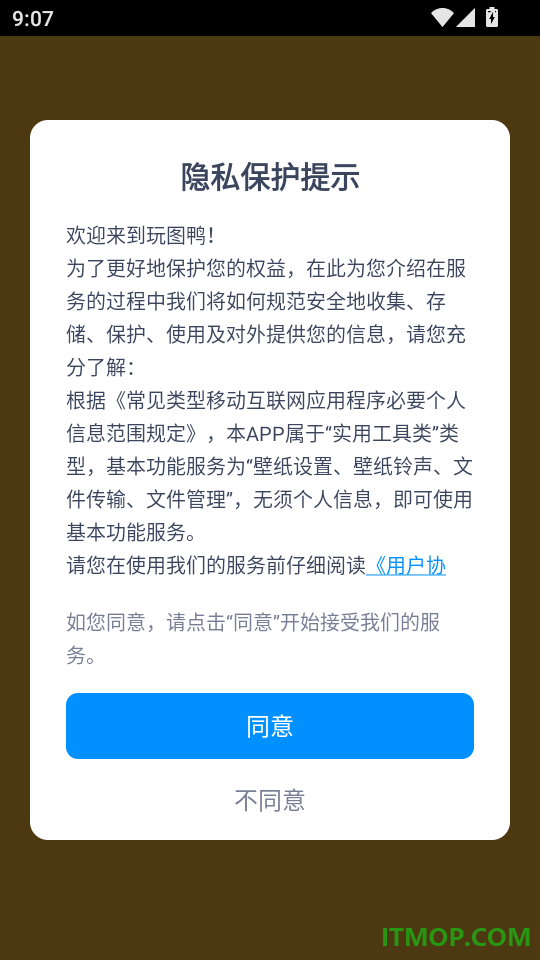 玩图鸭官方版本