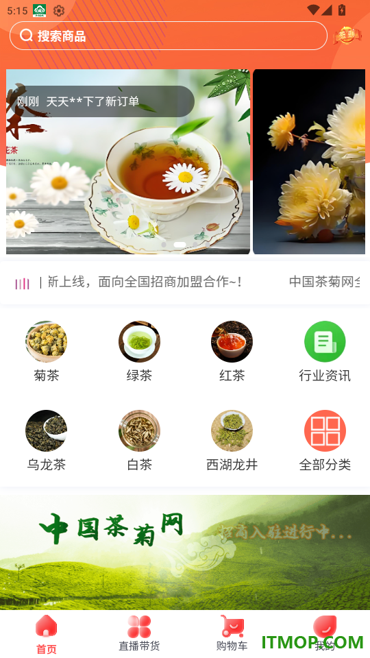 茶菊网手机版