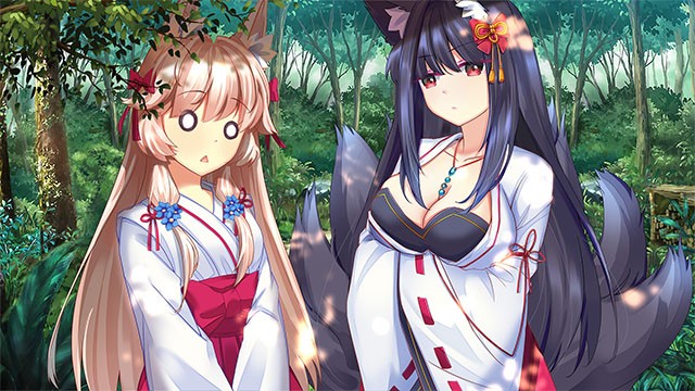 狐姬零游戏v1.029 2