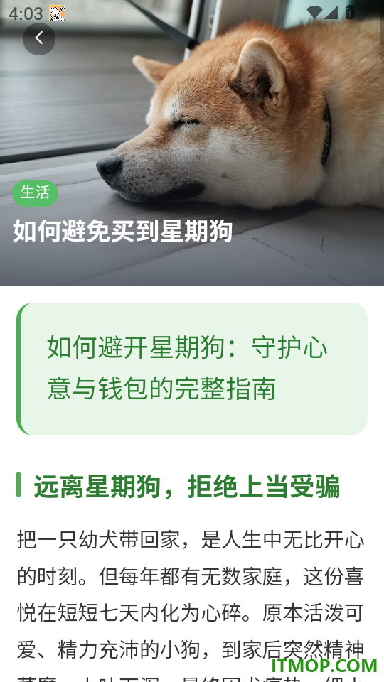 酷宠官网版