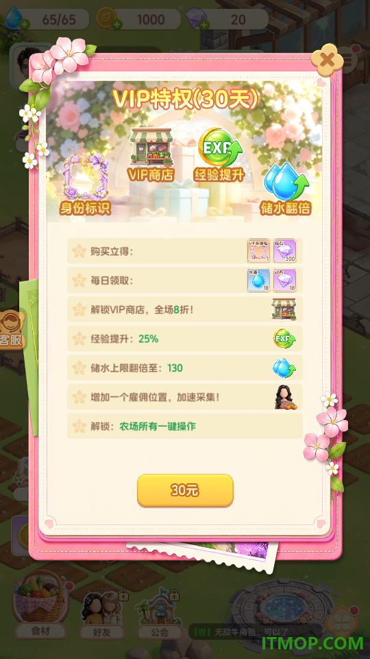 解忧梦幻岛手游