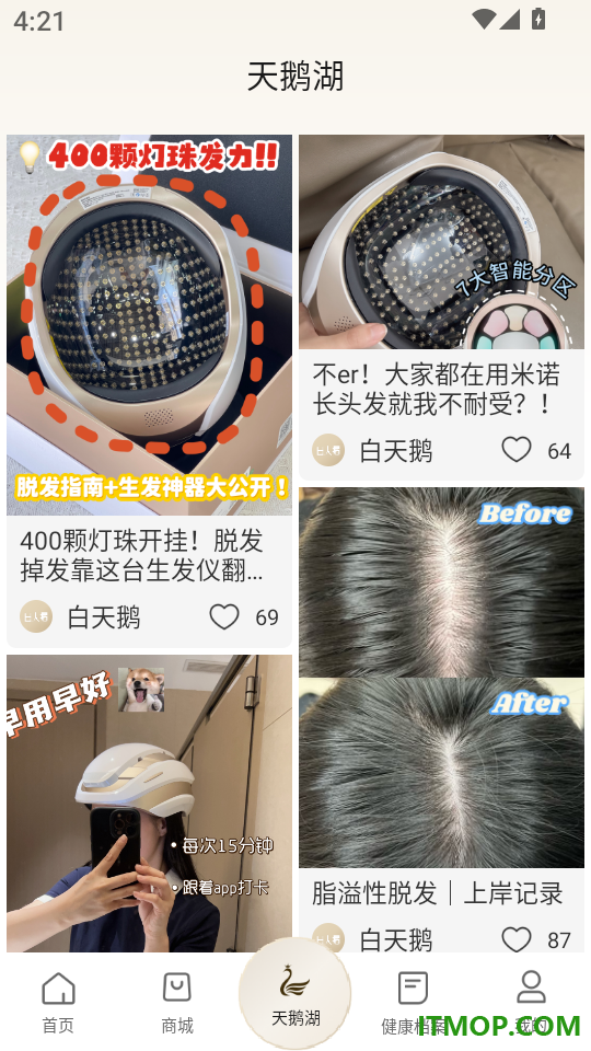 白天鹅免费版