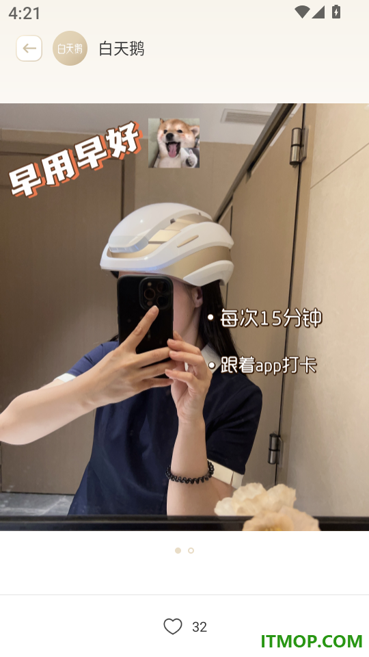 白天鹅免费版