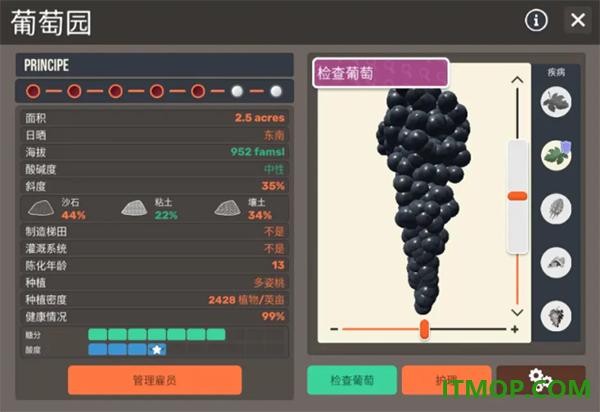 酿造物语游戏