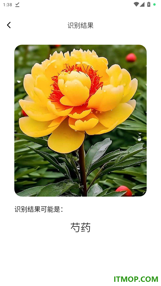 米青扫识精灵官网版