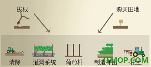酿造物语游戏