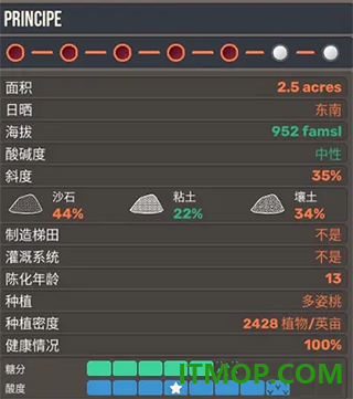 酿造物语游戏
