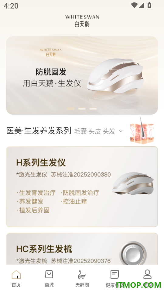 白天鹅免费版