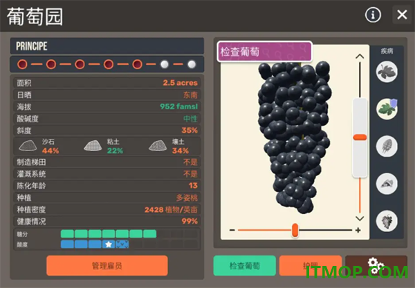酿造物语游戏