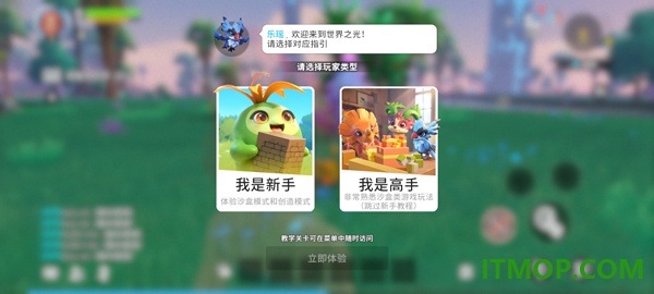 世界之光游戏