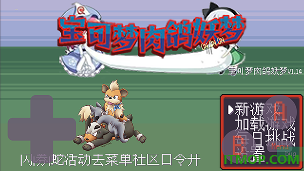 宝可梦肉鸽妖梦游戏