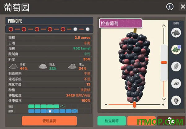 酿造物语游戏