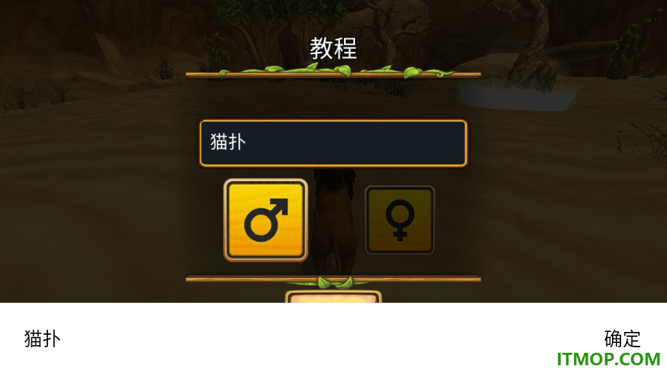 狮子家族模拟器最新版