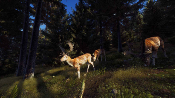 猎人之路手机版v1.0.6 4