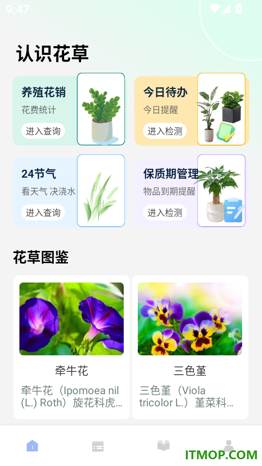 小草助手免费版