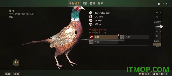 猎人之路手机版