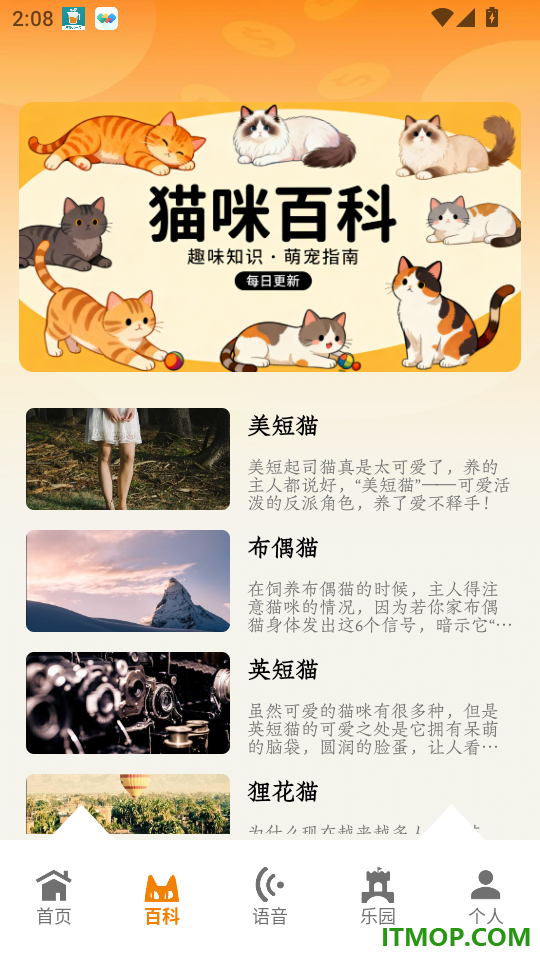 我和猫猫咪官方版