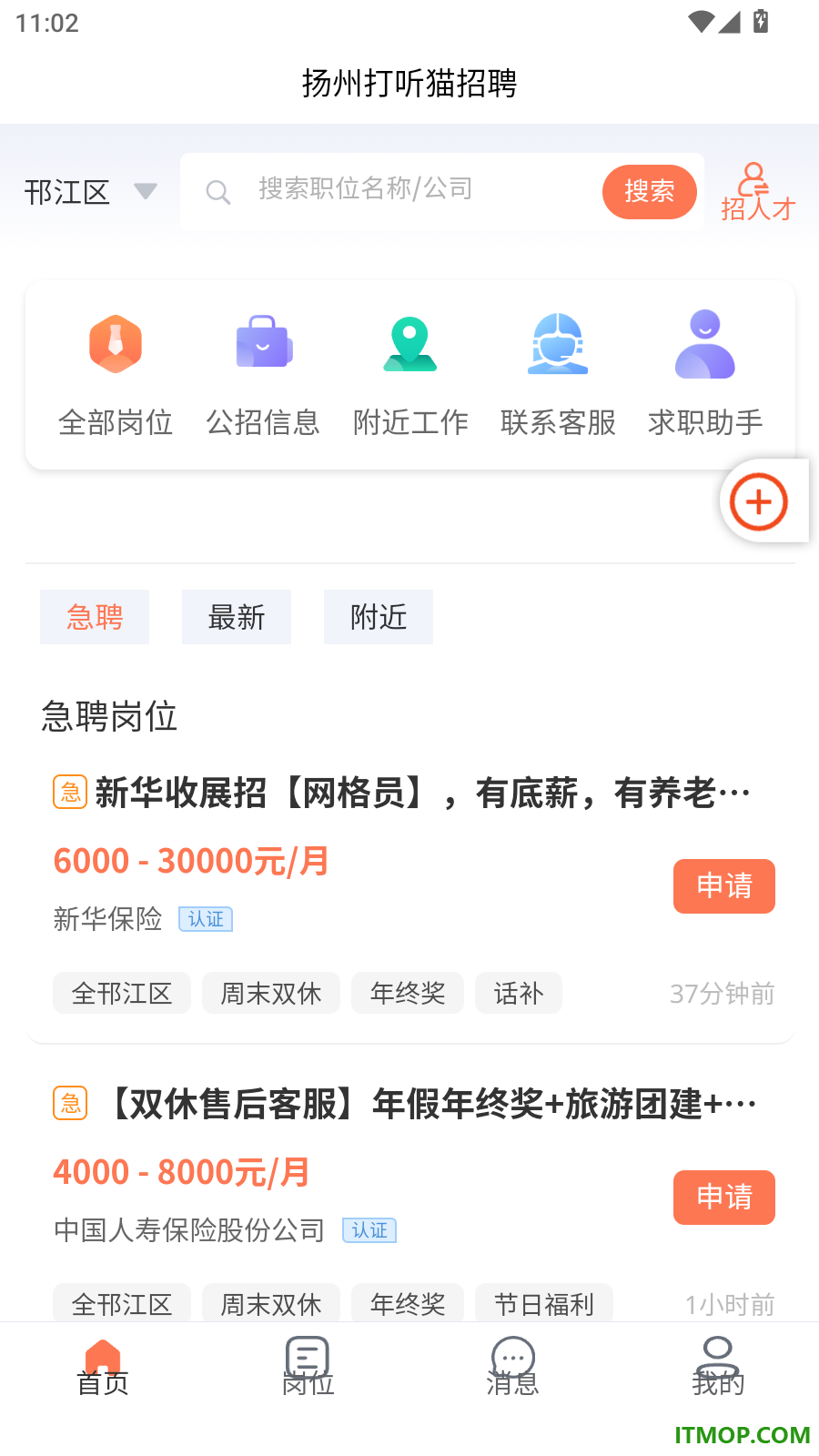 打听猫最新版