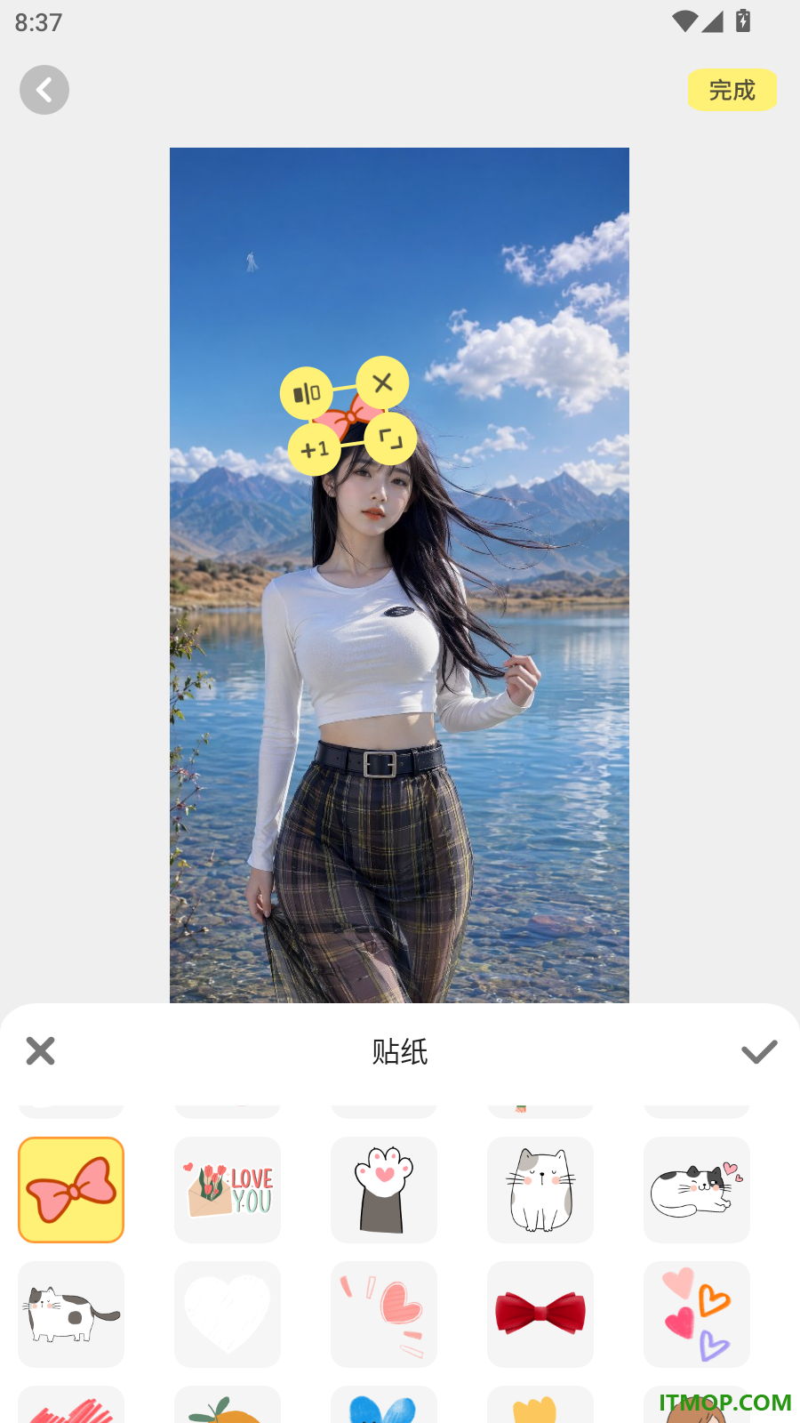 手机主题最美壁纸免费版