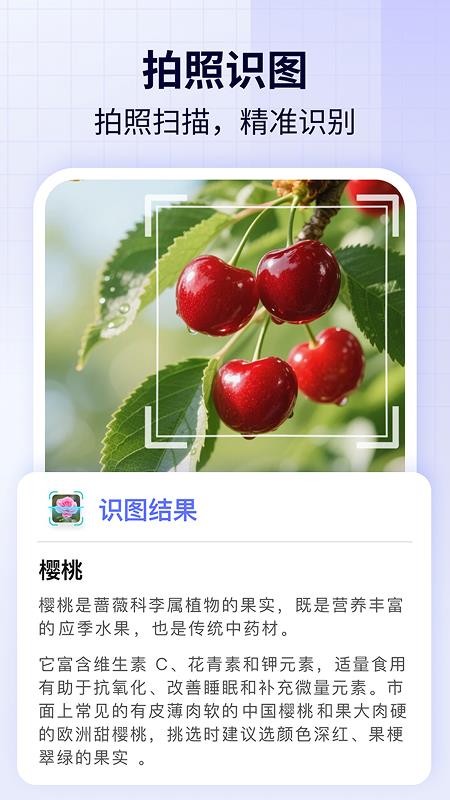 全境AI官网版v1.0.1(1)
