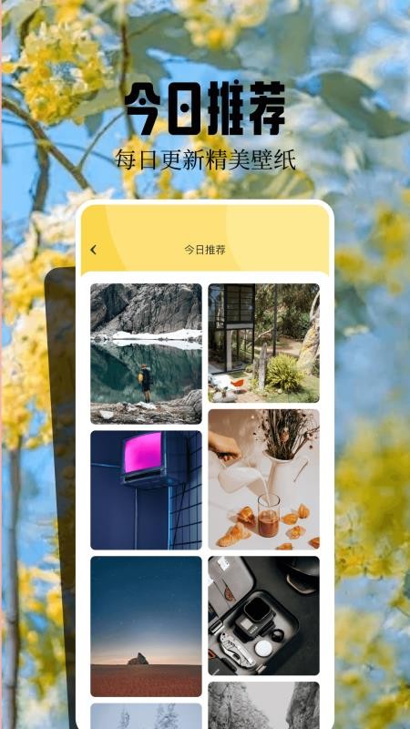 魔秀壁纸官网版v1.5(3)